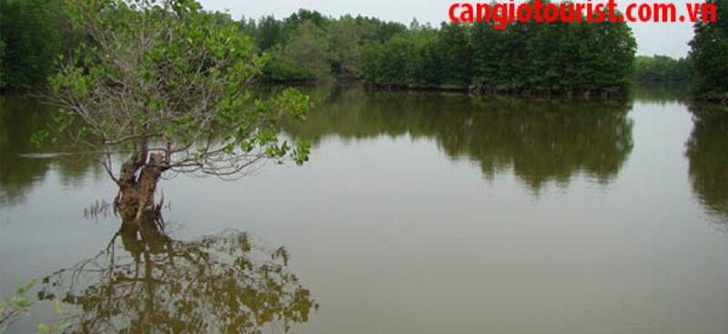 Thông tin chi tiết về giá vé vào cổng Đảo Khỉ Cần Giờ và các dịch vụ đi kèm